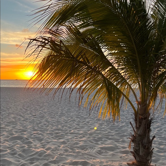 Meet your Posher, Miranda - Picture 1 of 1